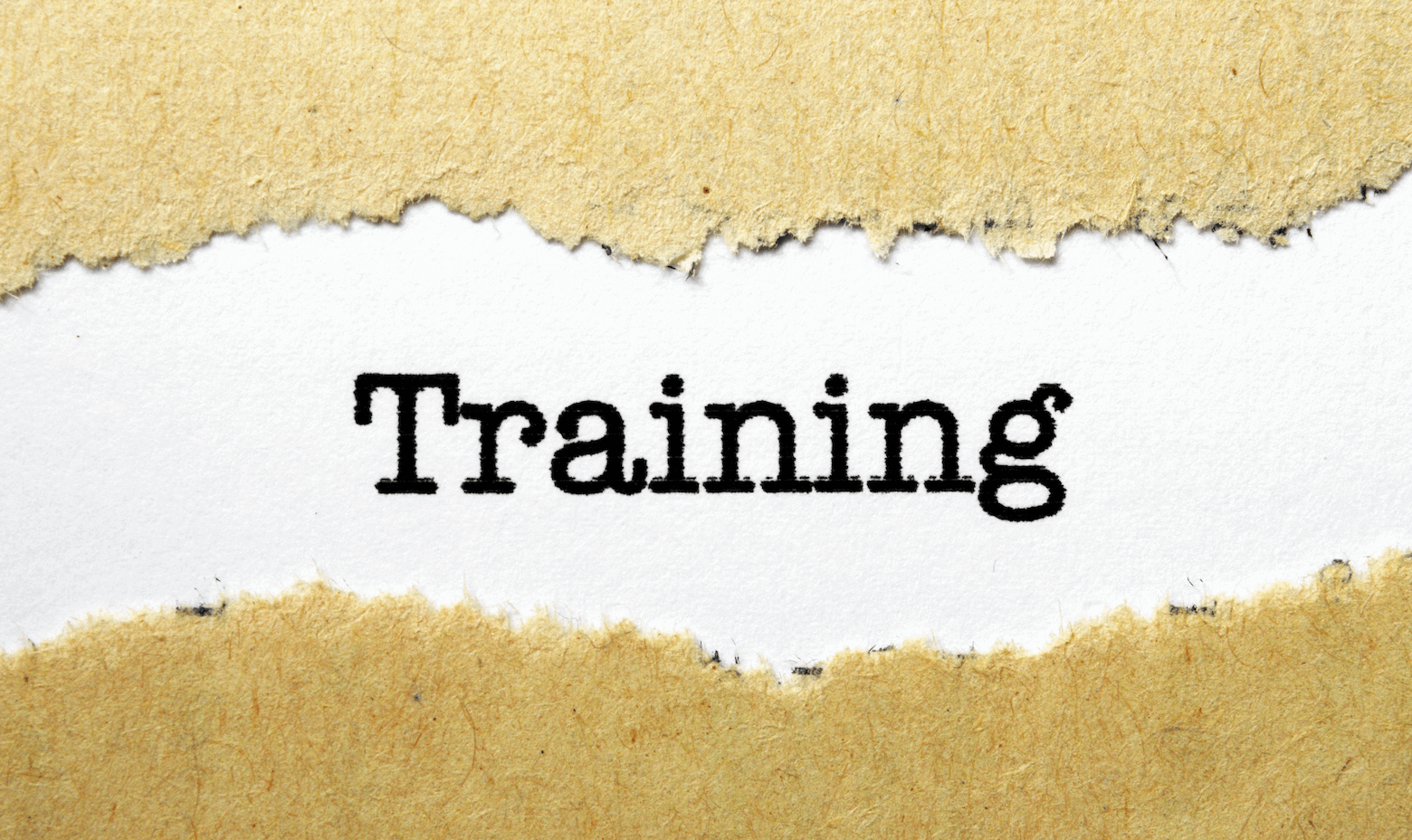 Freight Broker Training: Everything You Need to Know